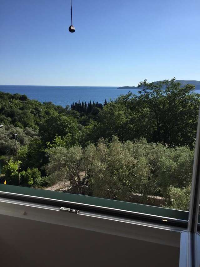 Апартаменты Apartments TMV Dragovic Свети-Стефан-10